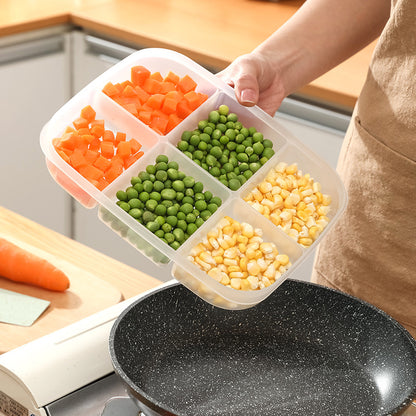 Refrigerator Food Storage Containers with Compartments